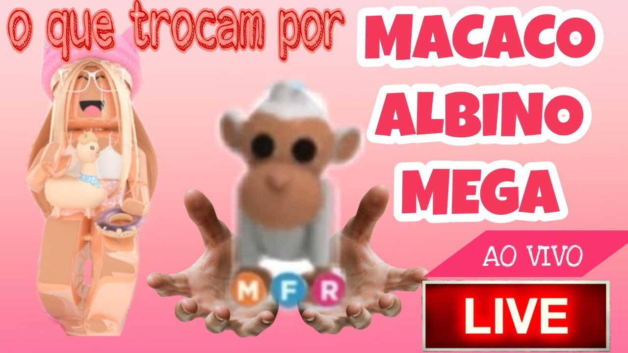 Macaco Albino em Seu Macaco Albinho  