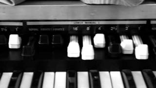 Wlm Trip Electric Organ