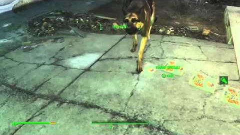 Fallout 4 Dogmeat Duplication Glitch Easy Method G