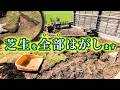 芝生の品種でお手入れが全然違う理由を確認します