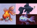 Three gouache fish paintings (I'm in love!!) 🐟🐠🐡  PAINT WITH ME