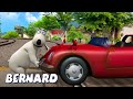 Бернард Медведь | Автомобиль и Поезд И БОЛЬШЕ | Мультфильмы для детей