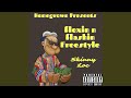 Flexin n Flashin Freestyle