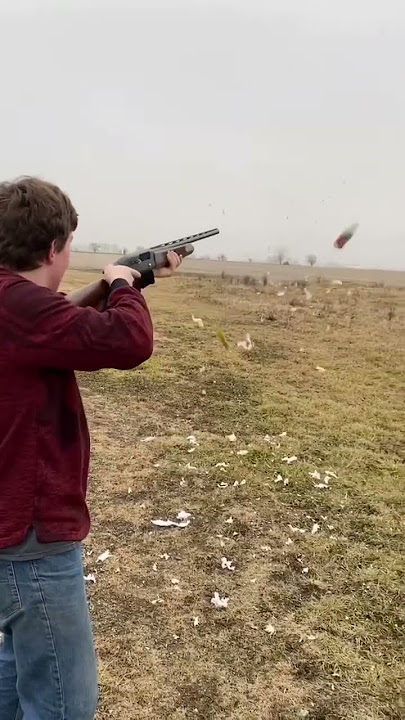 “Down here in Kentucky” #guns #shooting #shotgun #shorts #youtubeshorts