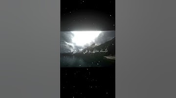 سورة الفتح | الآية ٢٩ |محمــــد رسول الله | بصوت الشيخ محمد اللحيدان