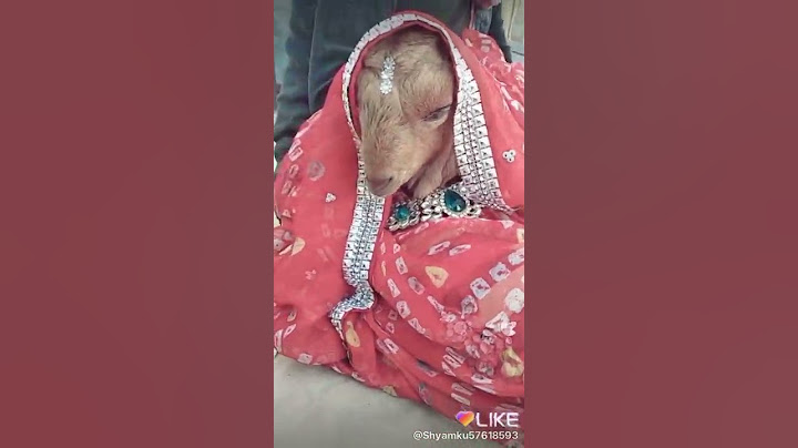 Mujhe Sajan Ke Ghar Jana Hai HD song