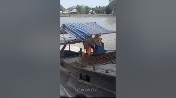 Tàu ghe Vượt cống 7 cửa Boats cross the culvert with 7 gates|Lư vũ vlog