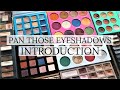 Pan Those Eyeshadows 2021 | INTRO