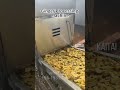 Automatic Ginger Slicing Production Line | Full Auto Ginger Washing Peeling Slicing Machine#machine