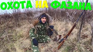 Выживание [3-часть] Охота на фазана. Делаю топку в бане. Парюсь в бане