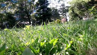 Yaşamayı Değil Ölmek Istiyom