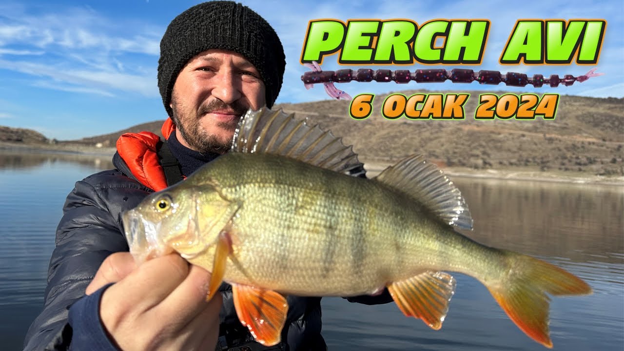 Perch Balık Avı.Pervane Gitti Av Bitti.Ayaş Yollarından Aştımda Geldim...