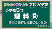 小３理科 ２ 植物の育ち方 たねのまき方 Youtube