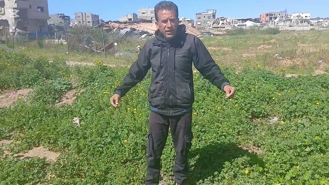 استحلفتك بالله ما تتغطى هذا الفيديو الا بمشاركه لا تتخطى هذا الفيديو استحلفتك بالله