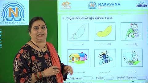 7TH SEP AP & TS TELUGU SL CLASS III AMAZING ASSIGNMENT KEY