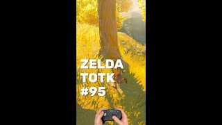 Zelda TOTK Walkthrough Part 95 (Switch 2) #zelda #totk #zeldatotk #rauru #link
