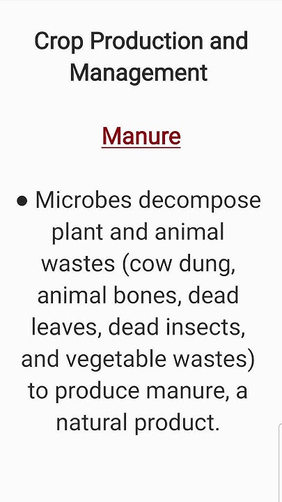 What Is Manure Class 8 Science Chapter 1 YouTube what-is-manure-class-8-science-chapter-1-youtube