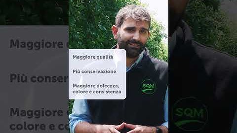 Boosting Color & Yield with Ultrasol NPKs and Ultrasol K Plus in ITALY - Azienda Agrícola Mengon