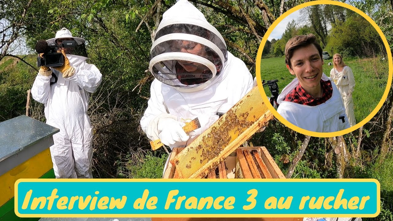 DANS LES COULISSES D’UN REPORTAGE FRANCE 3 : ouverture d’une ruche ...