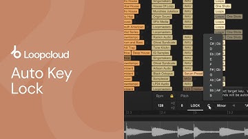 Auto Key Lock | Loopcloud 101