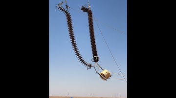 Insulator hosting #community  #hosting #shortsviral #shortvideos