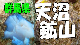 オパールがいっぱい‼【群馬みなかみ町･天沼鉱山】縞メノウと水晶も見つけた！