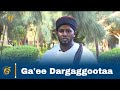 Nageenya Hawaasaaf Ga'ee Dargaggootaa