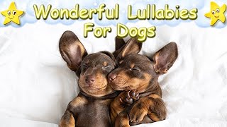 Relaxing Sleep Music For Dogs And Puppies ♫ Calm Your Dog Effectively ♥ Lullaby For Dogs