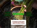 How to prepare rooting agent, liquid fertilizer at home. #shortvideo #youtubeshorts #fertilizer #diy