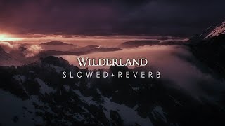 The Hobbit 2 - Wilderland (Slowed + Reverb)