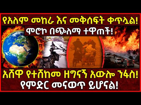 ቪዲዮ: አውሎ ንፋስ ዳላስ ተመታ?