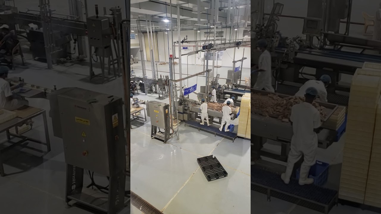 مصنع الوطنية لتعليب التونه في مدينة الشحر حضرموت من بدايه احضار السمك إلا نهايه التعليب للمستهلك