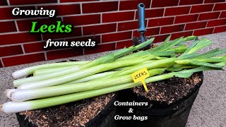 Growing Super-Long Leeks from Seeds to Harvest in Containers & Bags - Step by Step Profile