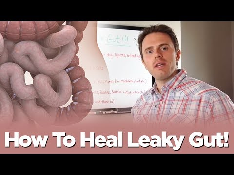 How To Heal Leaky Gut!