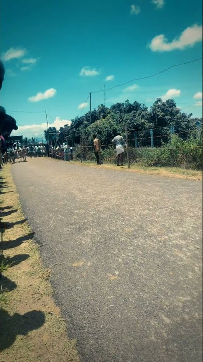 rekla addict💚#shorts