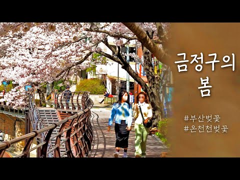 [영상으로 보는 금정소식] 2023년 4월의 금정 Thumbnail