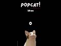 Miaou miaou-Miaou miaou