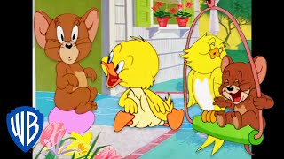 Мульт Tom Jerry Birds of a Feather Flock to Jerry  Classic Cartoon Compilation WB Kids