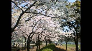 みんなのうた　うたえバンバン