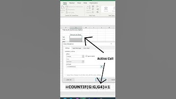Excel Customize Data Entry Forms | Using Data Validation to avoid duplicates