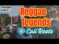 Steel Pulse surprise "Respect (Lucky Dube tribute)" LIVE Cali Roots 2025