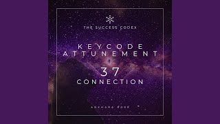 Famous Success Codex Keycode (37) CONNECTION Wealth