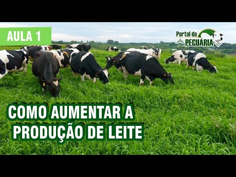 Como aumenta a produção de leite - Aula 1