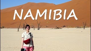 AFRICAN ADVENTURE | TRAVEL VIDEO NAMIBIA 2017 🐘