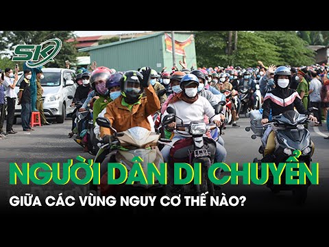 Video: Dịch Chuyển Xã Hội Tiến Hành Như Thế Nào