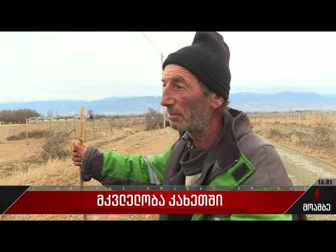 მკვლელობა კახეთში