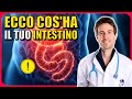 I SINTOMI INTESTINALI ⚠️ che non dovresti trascurare (sindrome intestino irritabile, episodio 1)