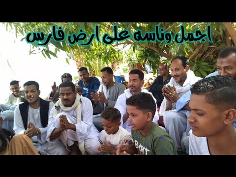 لو كان حبيبك عسل الفنان احمد والفنان حماده وناسه على أرض فارس قناة حسين العبادى للكف