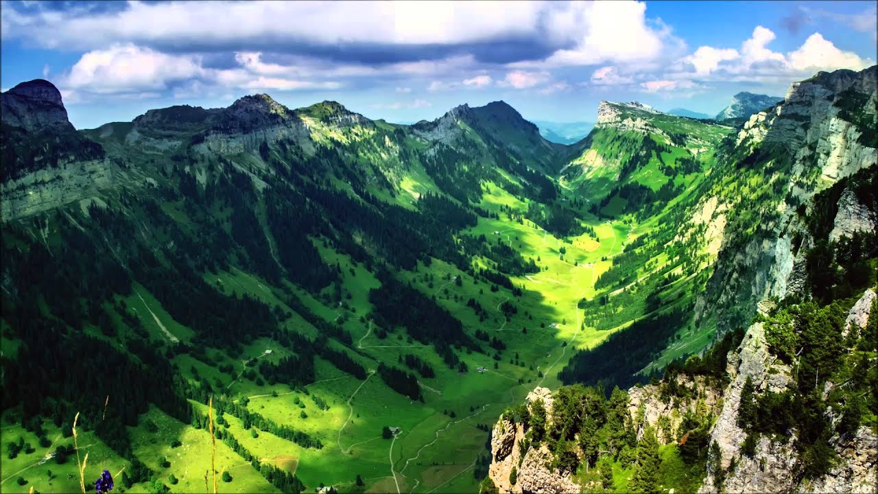 Watch Imagined Herbal Flows - Evolve on YouTube Watch Imagined Herbal Flows - Evolve on YouTube