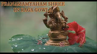 Pranamamyaham Shree Raga Gowla Carnatic electric guitar